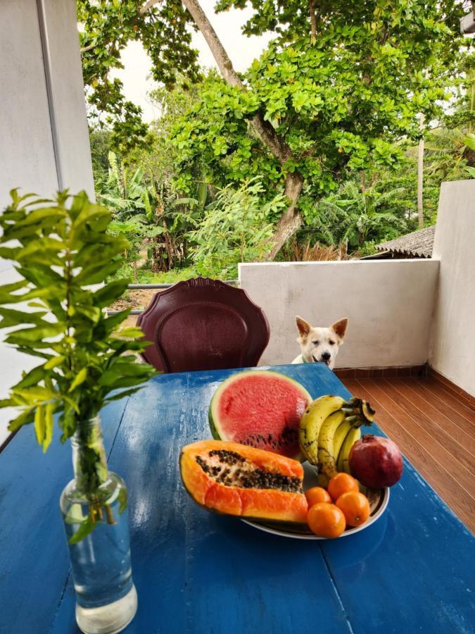 King Coco House Leilighet Dikwella Eksteriør bilde